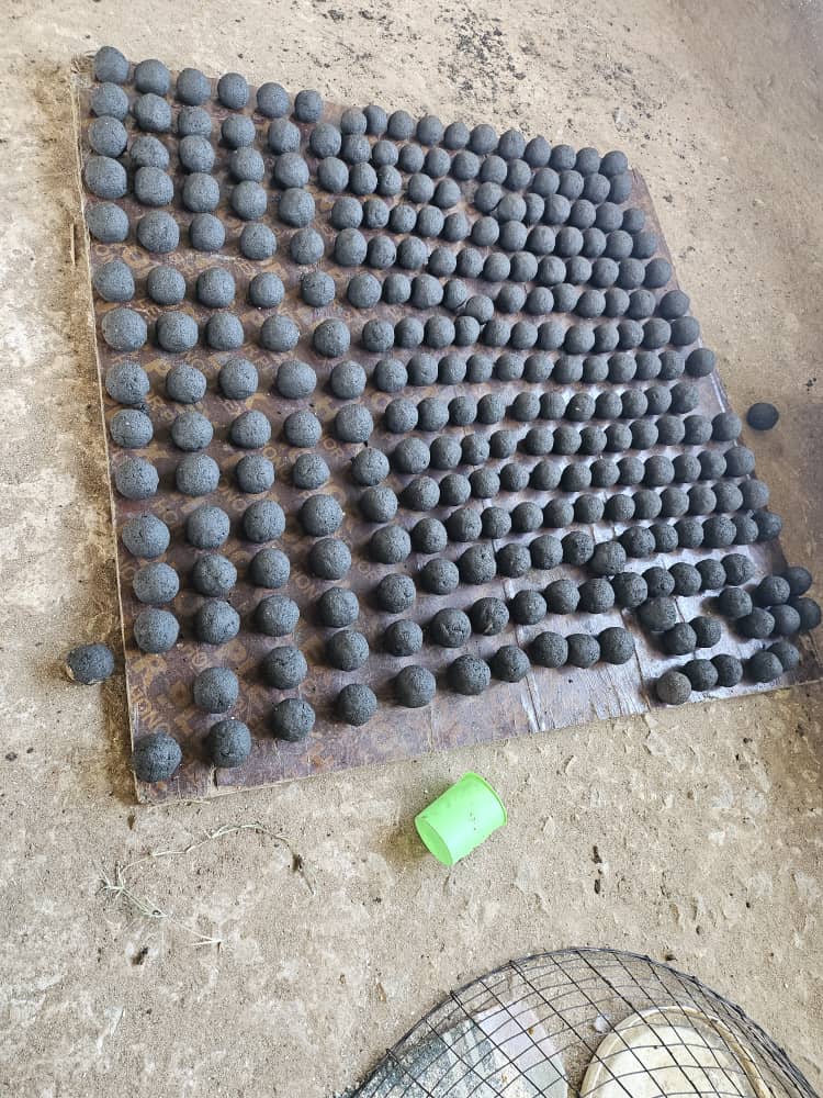 Charcoal Briquettes