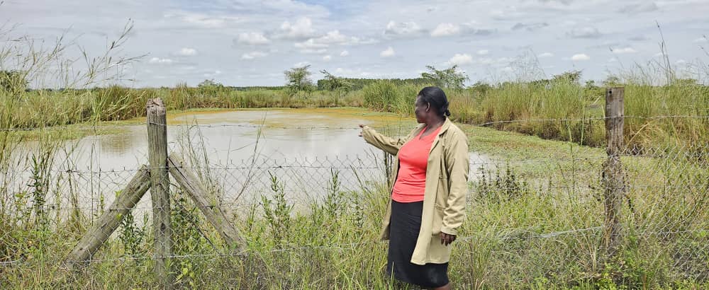 Fish Farming